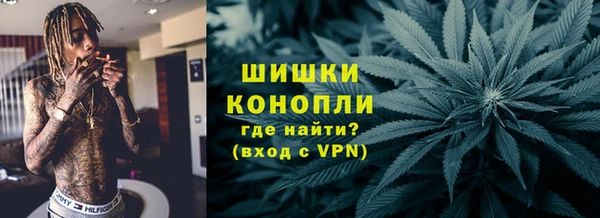 сатива Алзамай