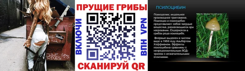 Галлюциногенные грибы Magic Shrooms Игра